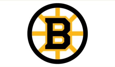 Boston Bruins Logo