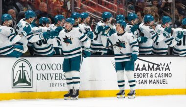 Betting on Sharks Has Been Moneymaker This Year