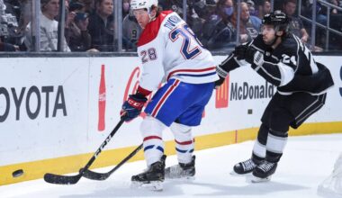 Hoffman, Armia, Dvorak Back, Petry Update