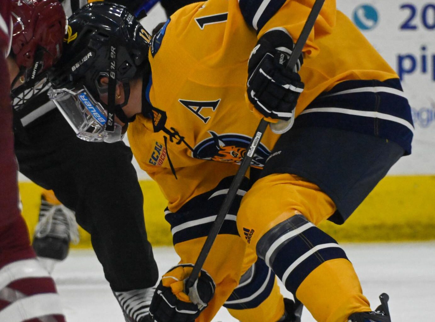 Women’s ice hockey falls 4-1 in disappointing fashion