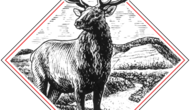 CAIC launches new public avalanche data, reporting and visualization tools | The Herald Times