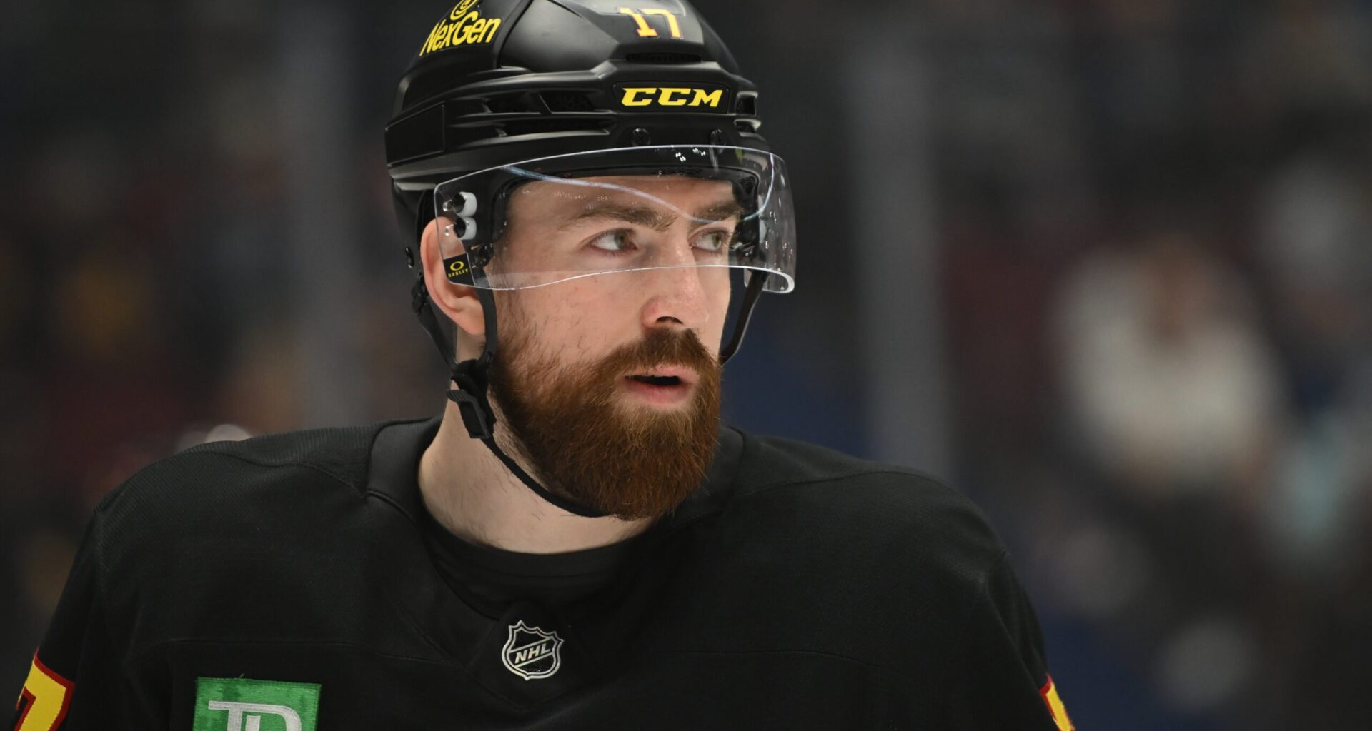 Filip Hronek Vancouver Canucks