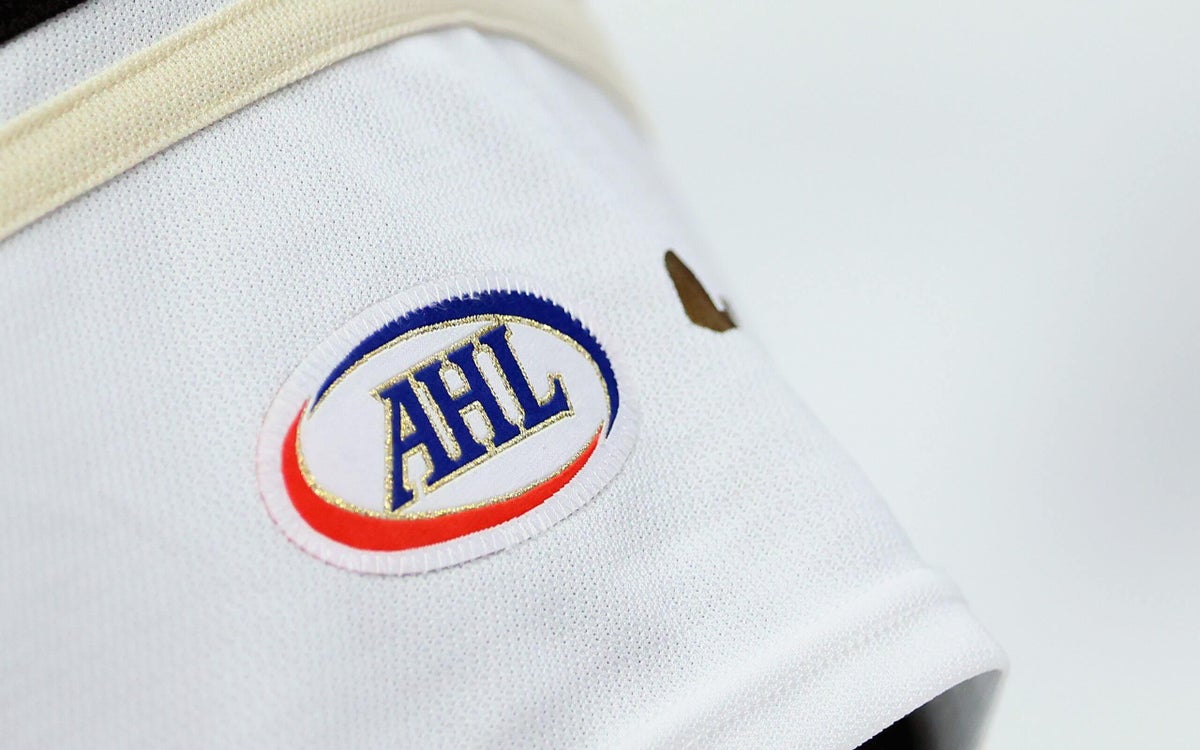 Mite hockey brawl at AHL game facing multiple investigations