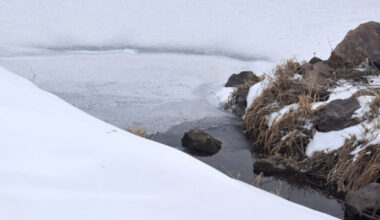 Pond hockey forced back indoors | News, Sports, Jobs