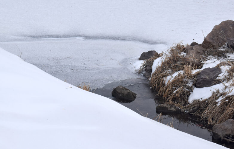 Pond hockey forced back indoors | News, Sports, Jobs