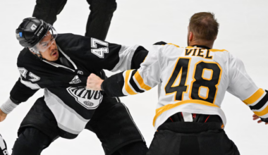 Jeffrey Viel Boston Bruins