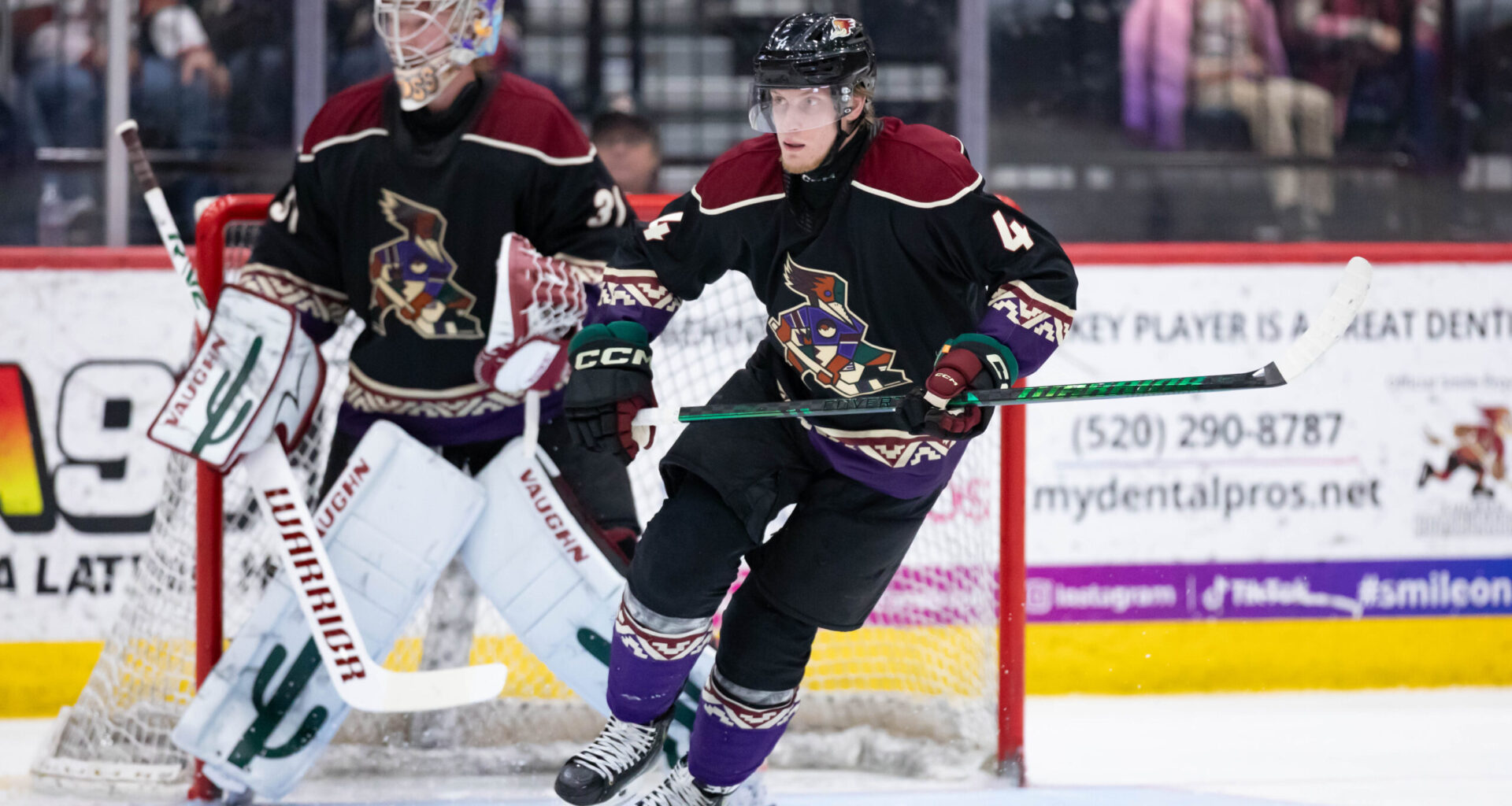 Tucson Roadrunners Hockey