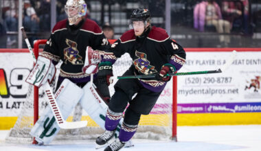 Tucson Roadrunners Hockey