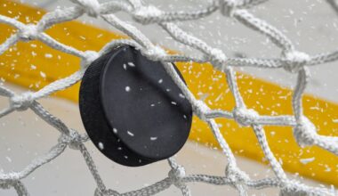 L’ange teams up with Florida Panthers in sports marketing push