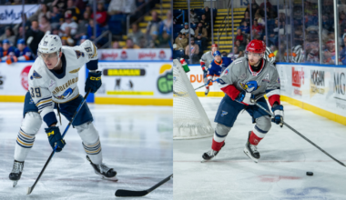 Springfield Thunderbirds | Blues Recall Matt Luff, Hugh McGing from…