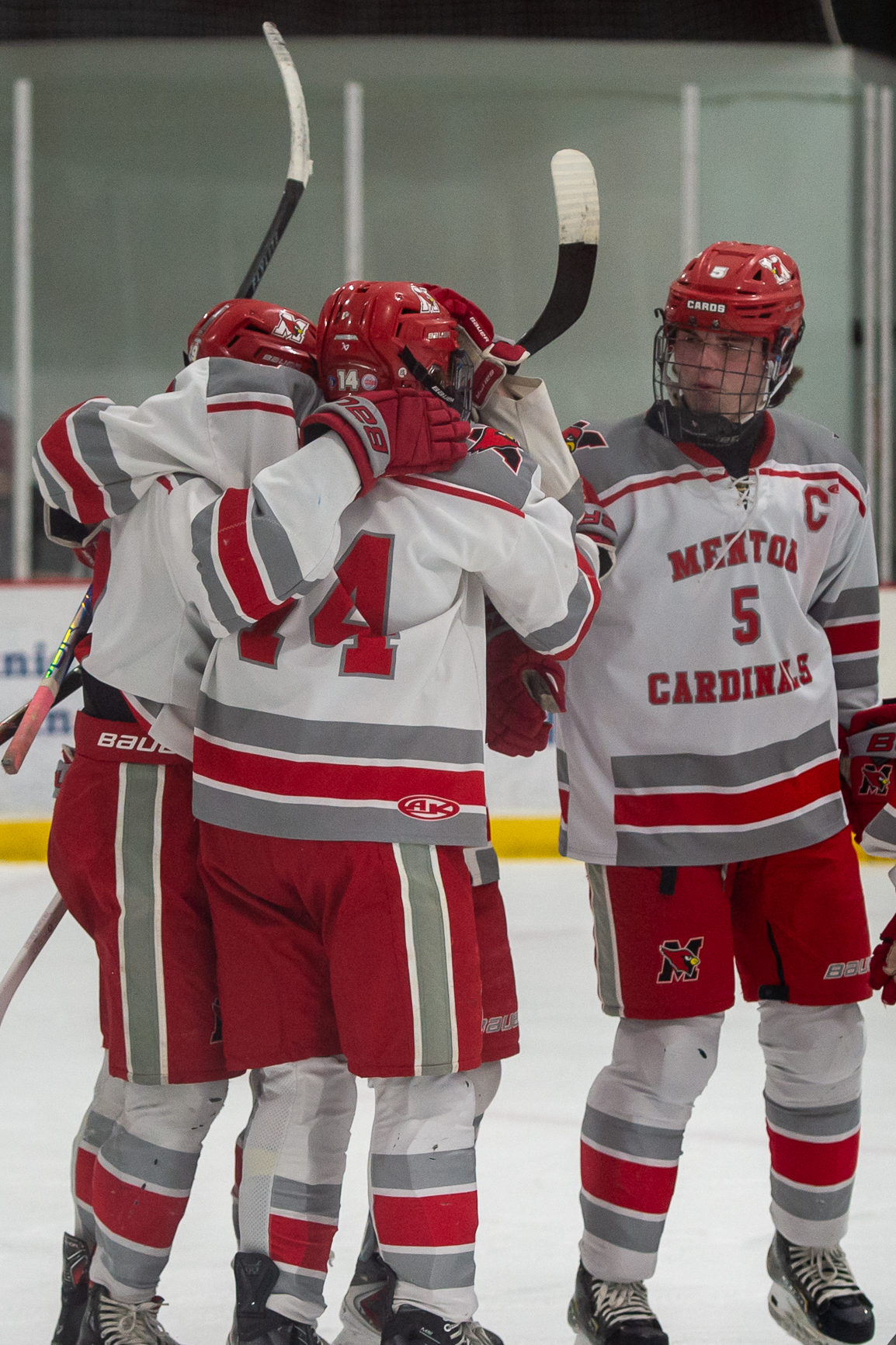 Mentor celebrates a goal against Rocky River on Jan. 23....