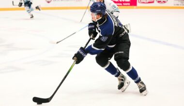 Risers on NHL Central Scouting's Midterm Rankings