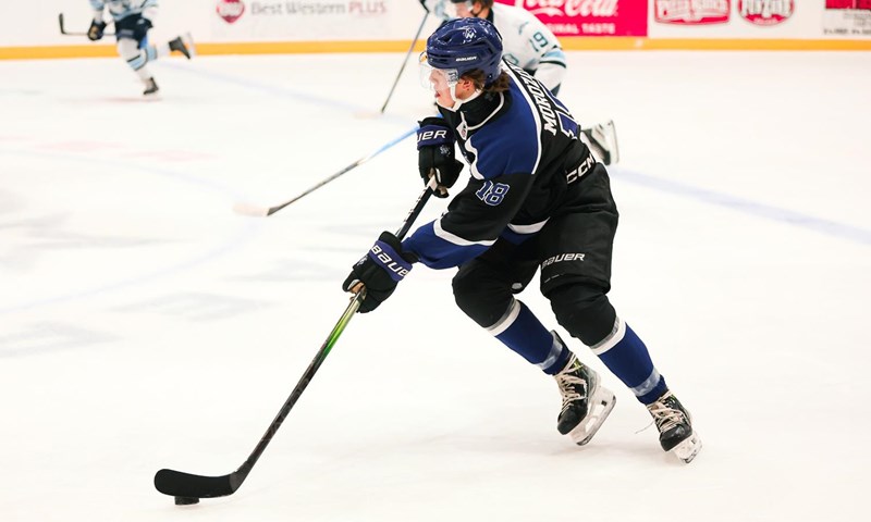 Risers on NHL Central Scouting's Midterm Rankings