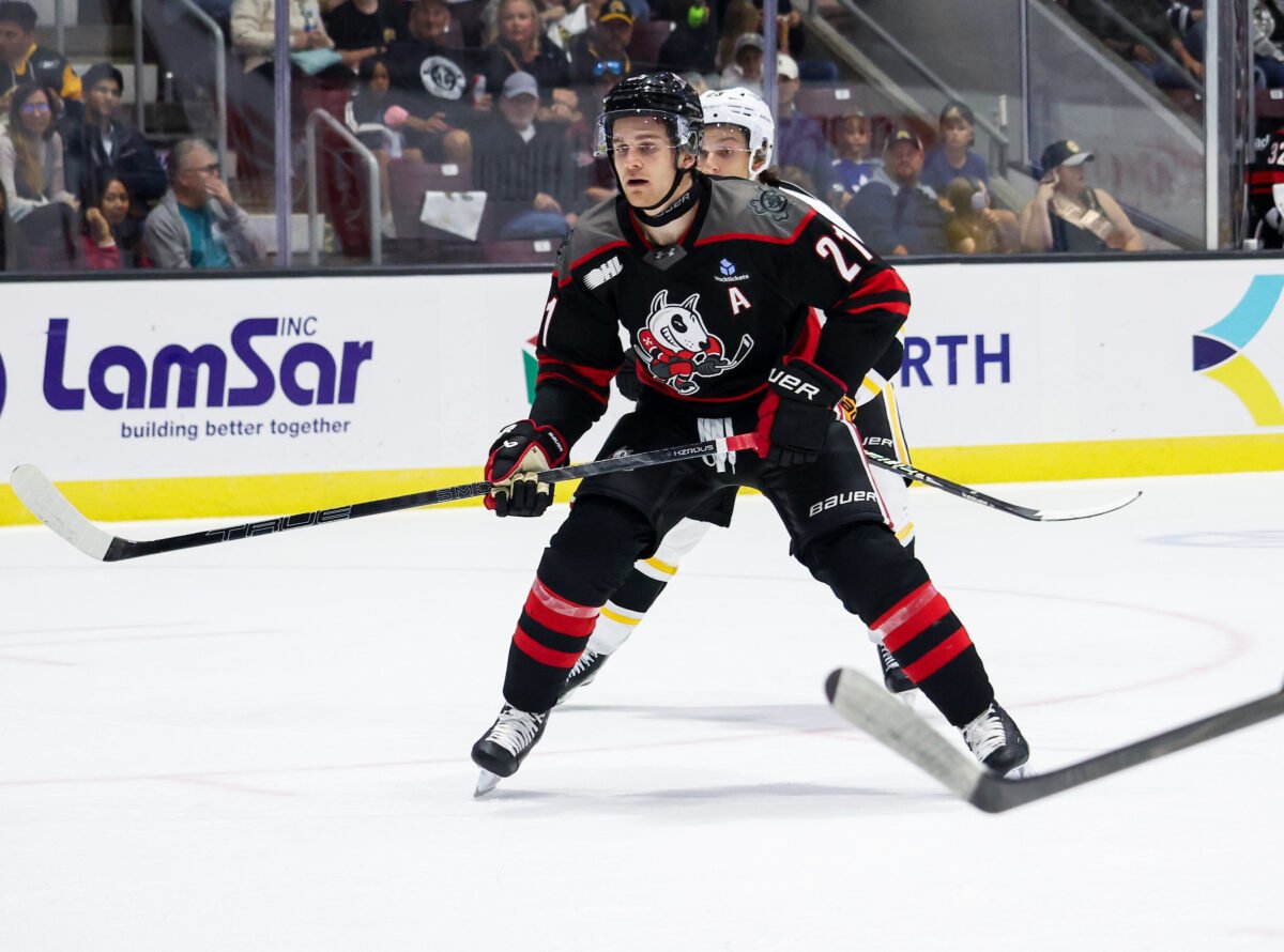 Riley Patterson Niagara IceDogs