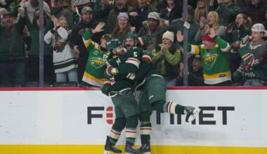 Wild beat Flames thanks to Vinnie Hinostroza's goal