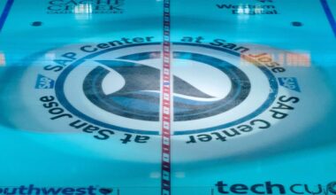 Should the Sharks sell high on some players amidst run to playoffs? 