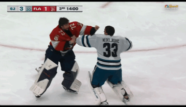 Sharks' Nedeljkovic Fights Bobrovsky In Wild Sequence
