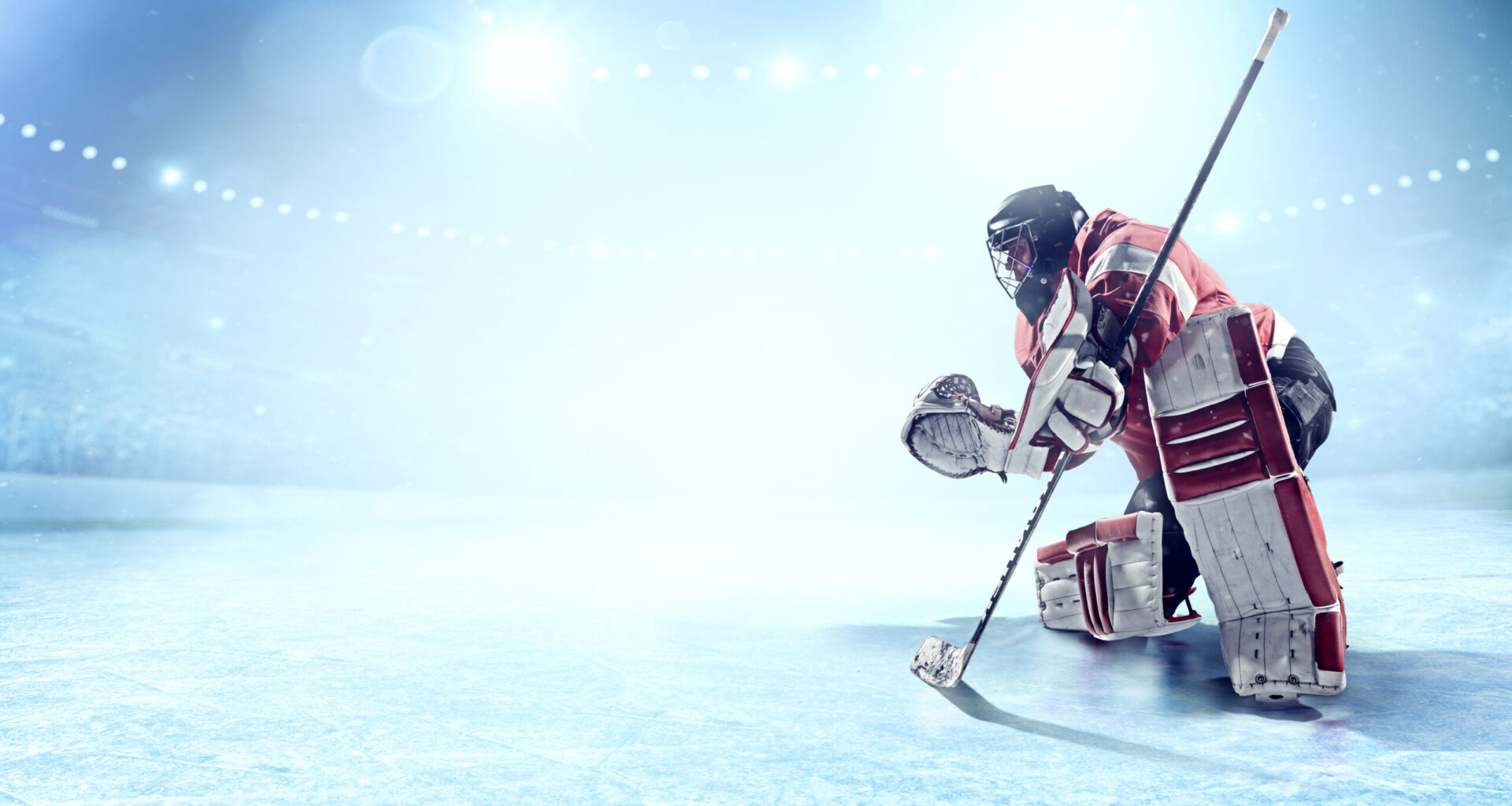 Wild Go Duck Hunting - My KLGR