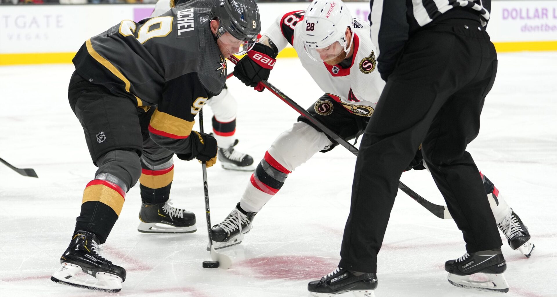 Sens and Golden Knights On a Sunday Suppertime TV Slate