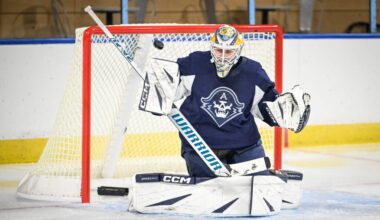 Chrona, Makiniemi, Senyshyn – Pro Hockey Rumors