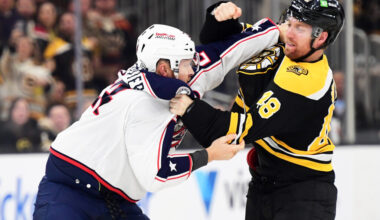 Anaheim Ducks Acquire Jeffrey Viel – Pro Hockey Rumors