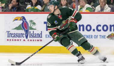Minnesota Wild Recall David Jiricek