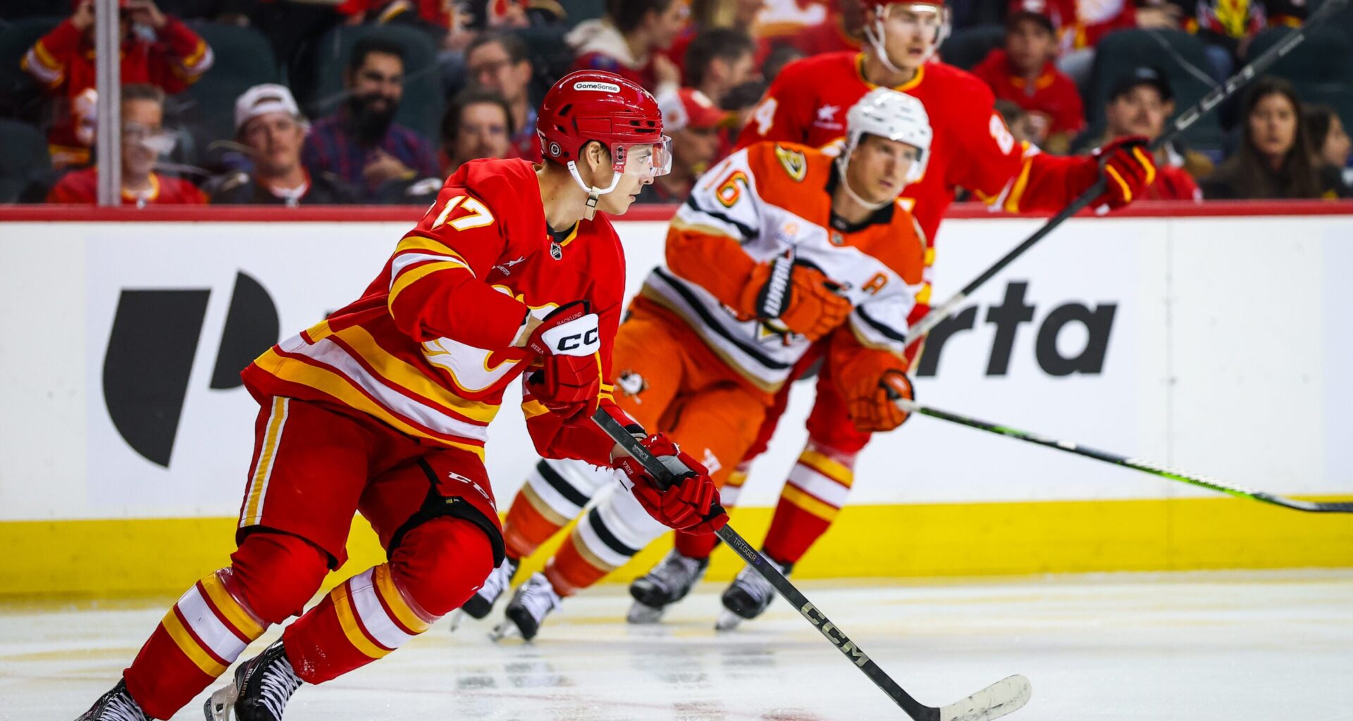 Red Hot Ducks Head into Calgary to face Flame