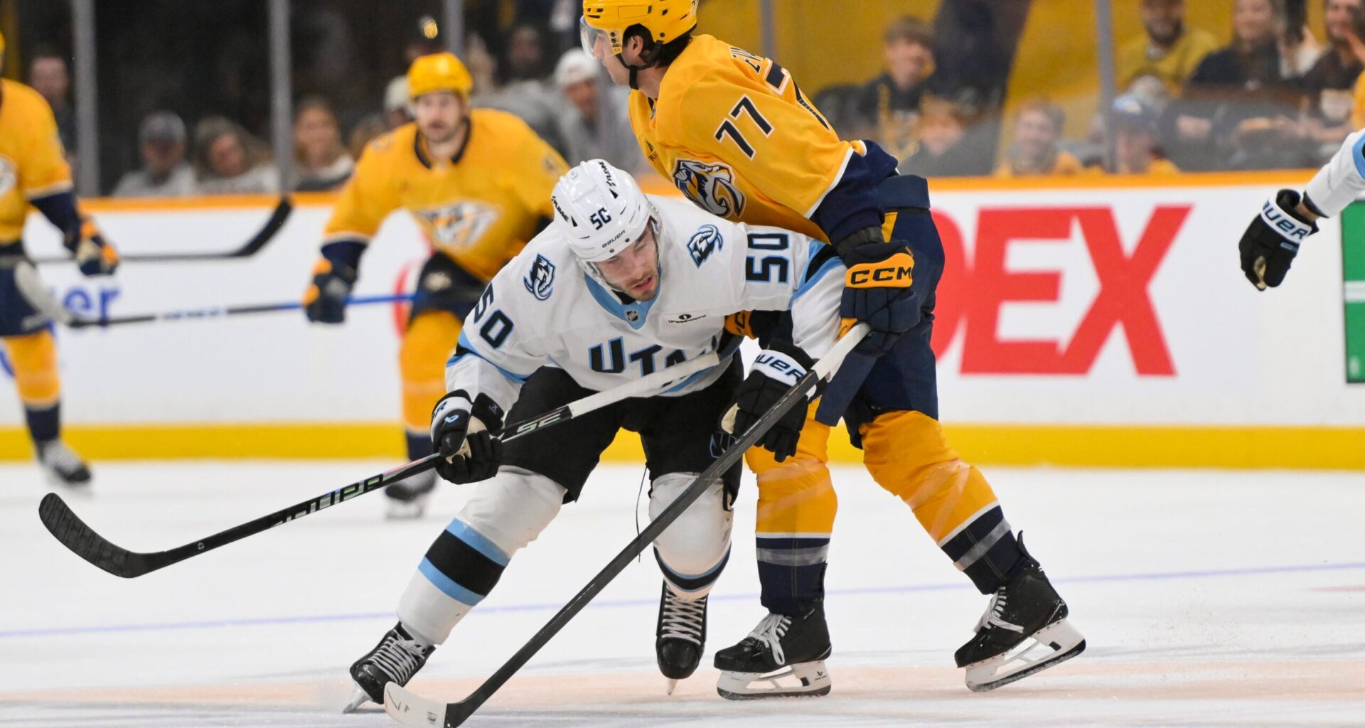 Preds and Mammoth, from Tennessee, Who Do You Got?