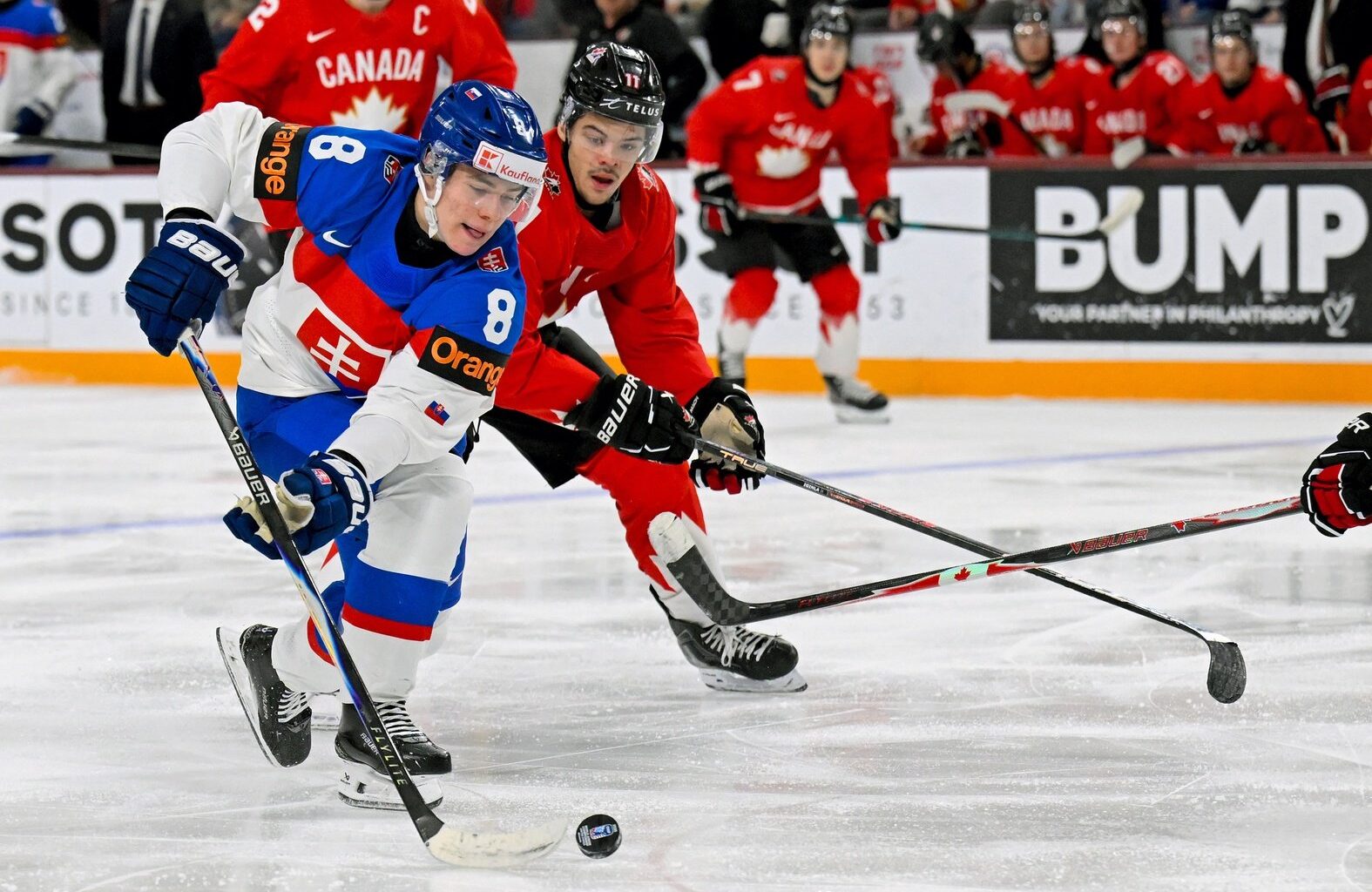 The Crowd Made A Fashion Statement At World Juniors - Minnesota Wild