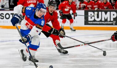 The Crowd Made A Fashion Statement At World Juniors - Minnesota Wild