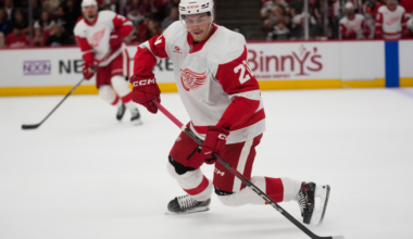 Detroit Red Wings Re-Sign Albert Johansson