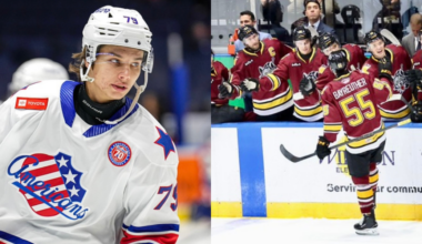 Carolina Hurricanes and Buffalo Sabres Swap AHL Players