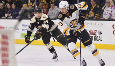 AHL: Providence Bruins Assigned Max Wanner from Maine Mariners 