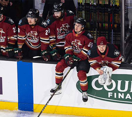 Tucson Roadrunners Hockey