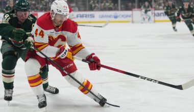 Gustavsson makes 29 saves as the Wild race to an early lead and beat the Flames 4-1