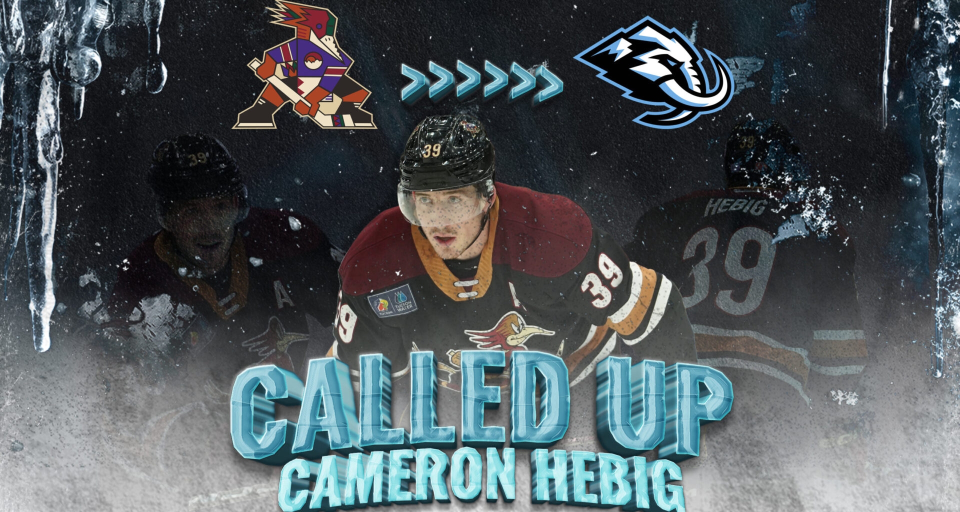 Tucson Roadrunners Hockey