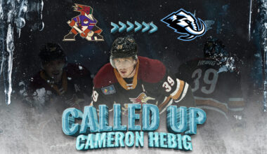 Tucson Roadrunners Hockey