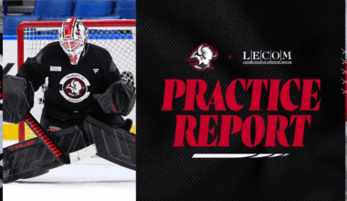 Awaiting word on UPL, Sabres remain confident in goaltending