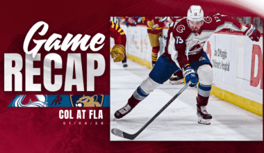 Avalanche Falls 2-1 to Panthers