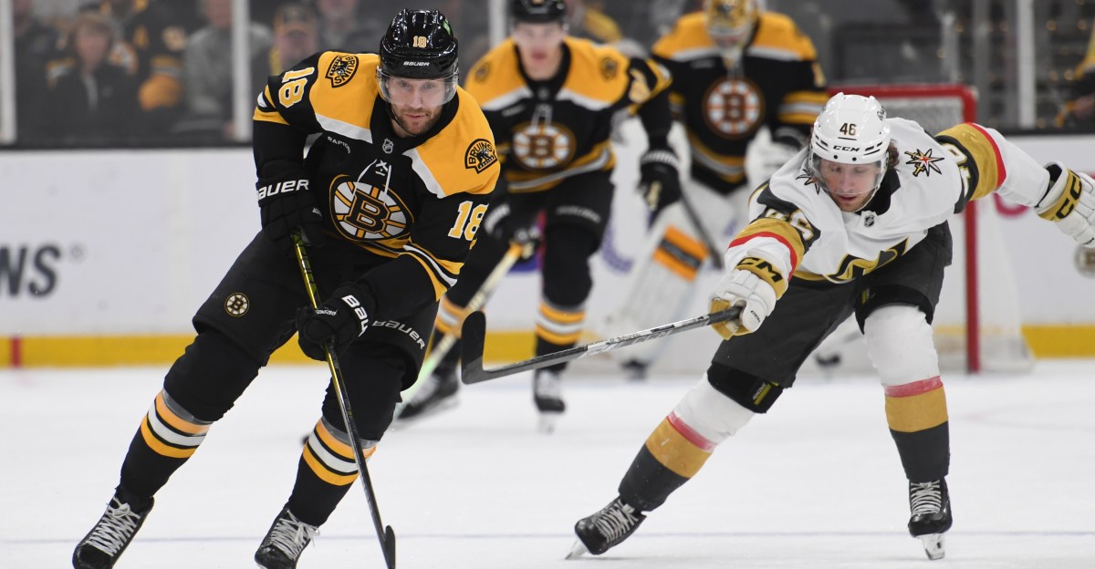 Public Skate: Bruins vs. Golden Knights