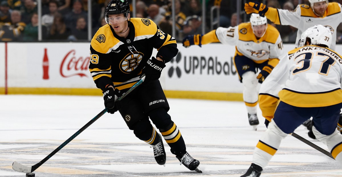 Public Skate: Bruins vs. Predators