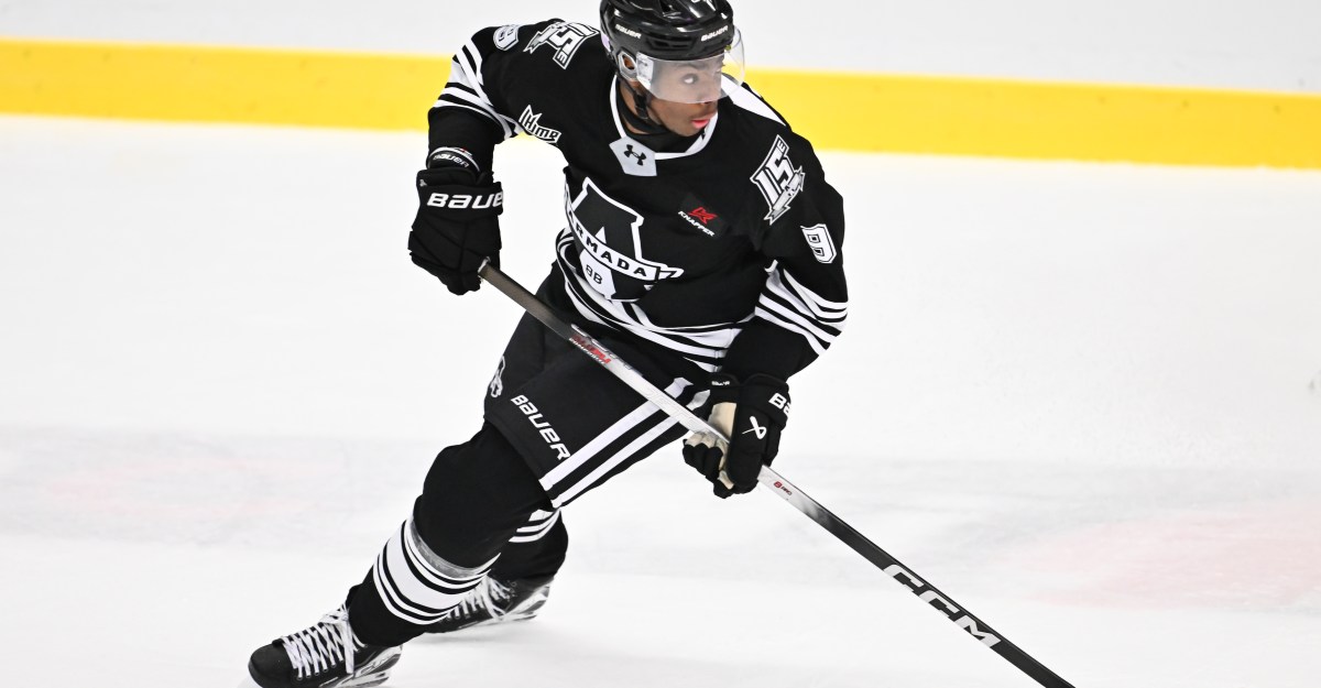 Penguin Prospect Update: January 2026