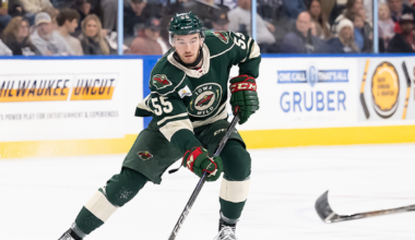 MINNESOTA WILD RECALLS DEFENSEMAN DAVID JIRICEK FROM IOWA