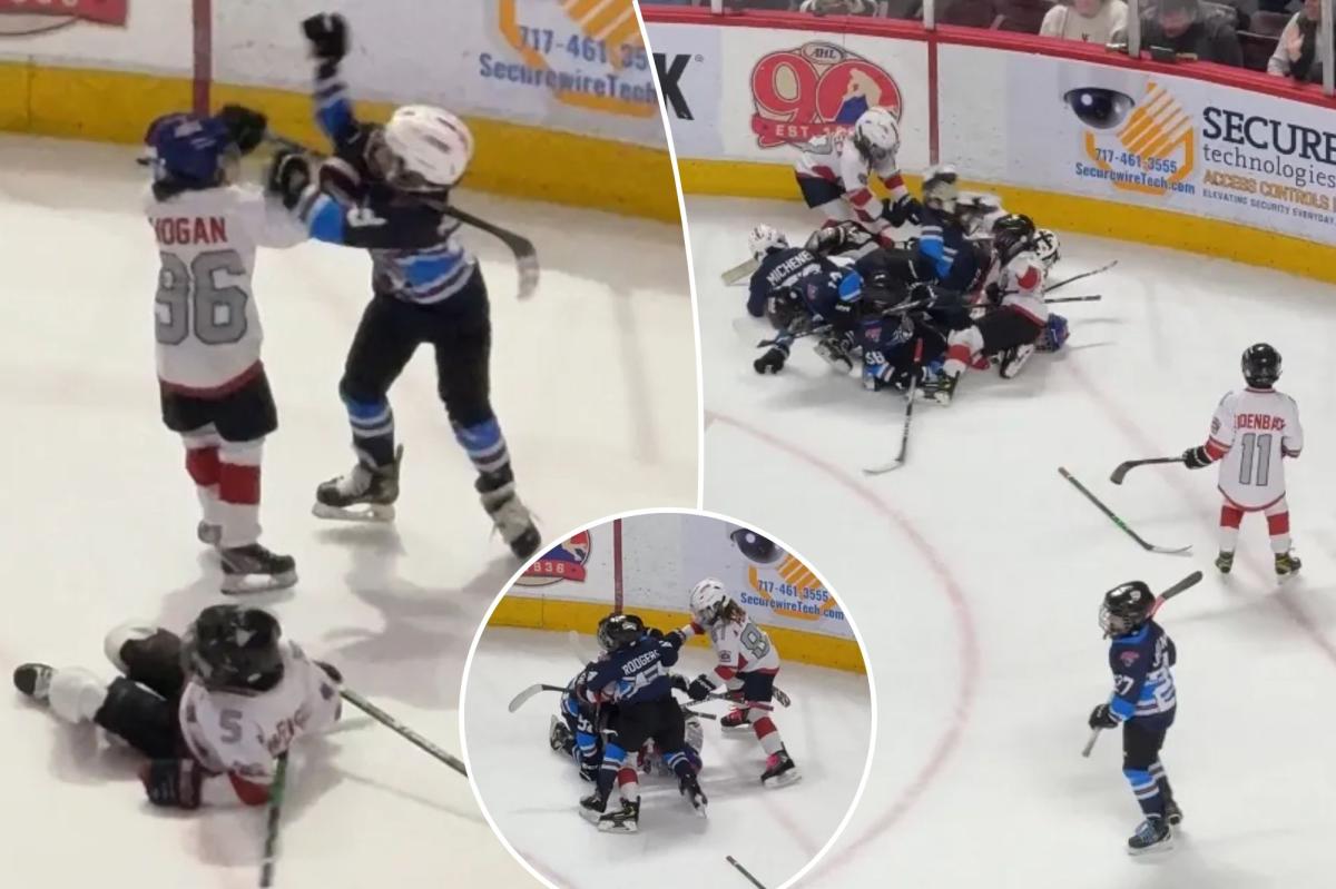 Youth hockey players get into wild brawl during game at AHL rink