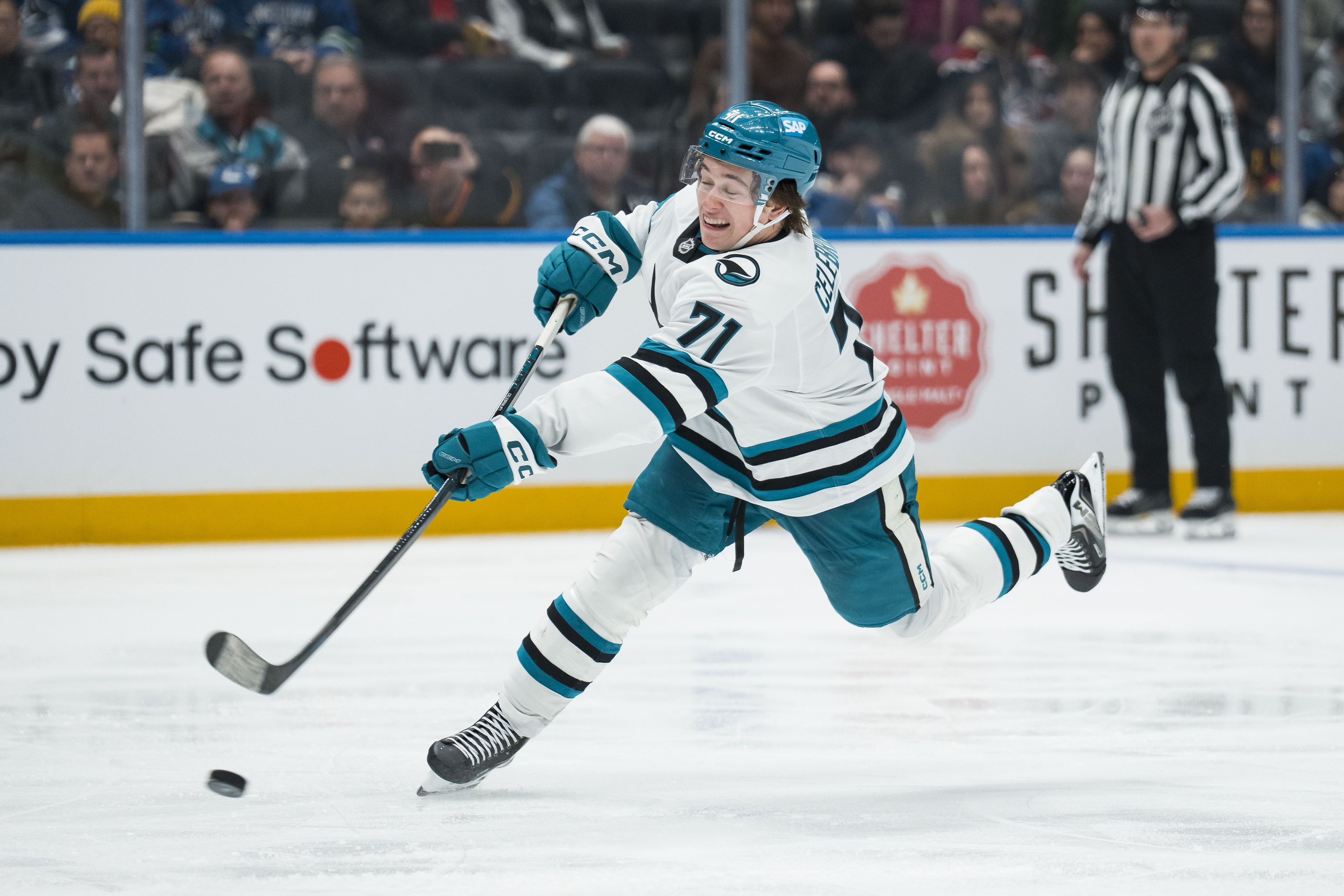 nhl picks Macklin Celebrini San Jose Sharks predictions best bet odds