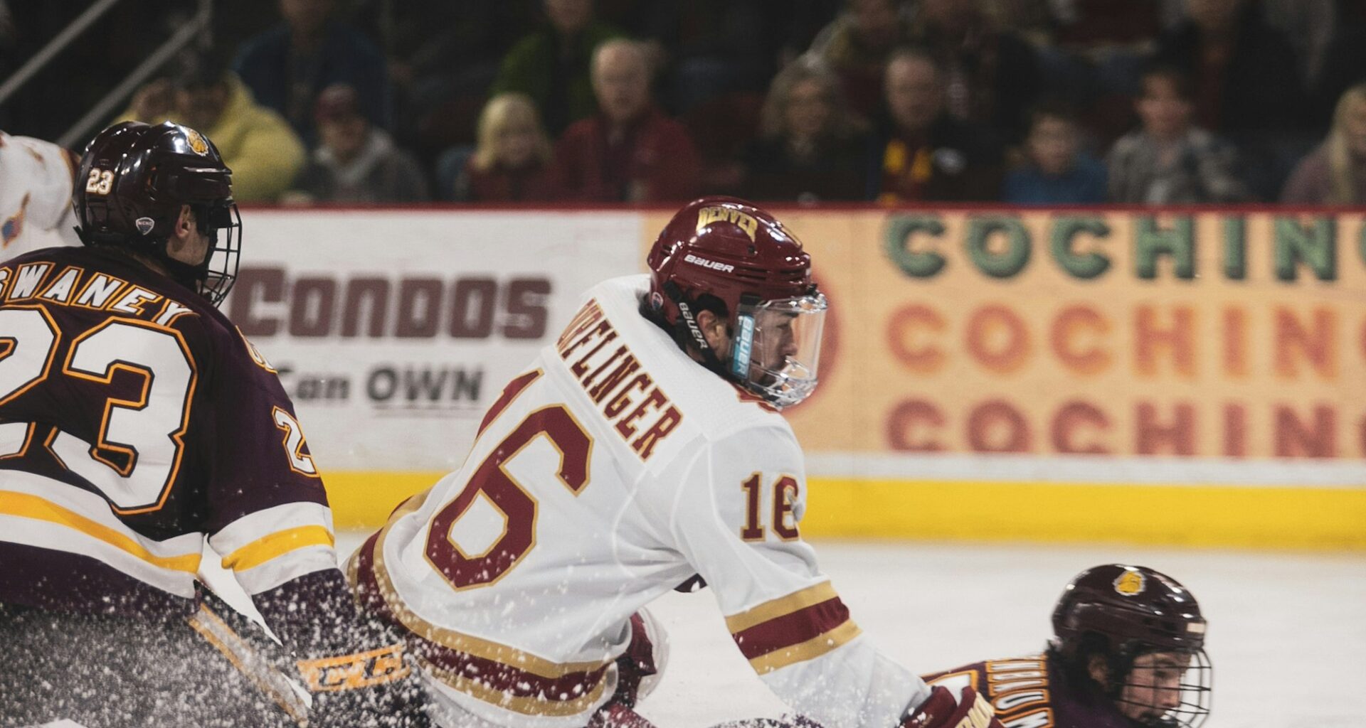 Ottawa Senators Prospect Update- January 28, 2026