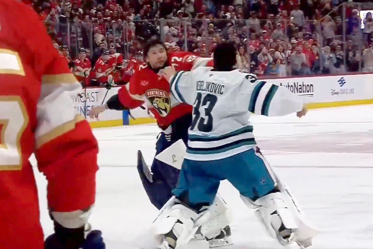 Sergei Bobrovsky and Alex Nedeljkovic get in epic goalie fight during Panthers-Sharks game: ‘It’s pretty good for the game when that type of stuff happens’