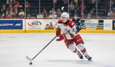 Amadeus Lombardi, Red Wings prospect