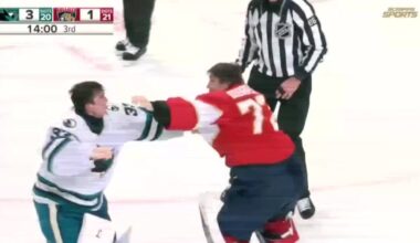 Panthers fan witnesses rare goalie fight on mom's birthday celebration