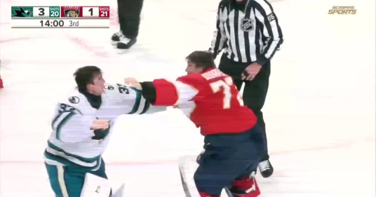 Panthers fan witnesses rare goalie fight on mom's birthday celebration